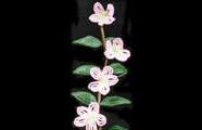 Bead Flowers - Apple Blossom